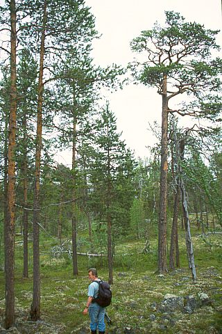 FinnmarkSoerVarangerPasvik19 - 65KB