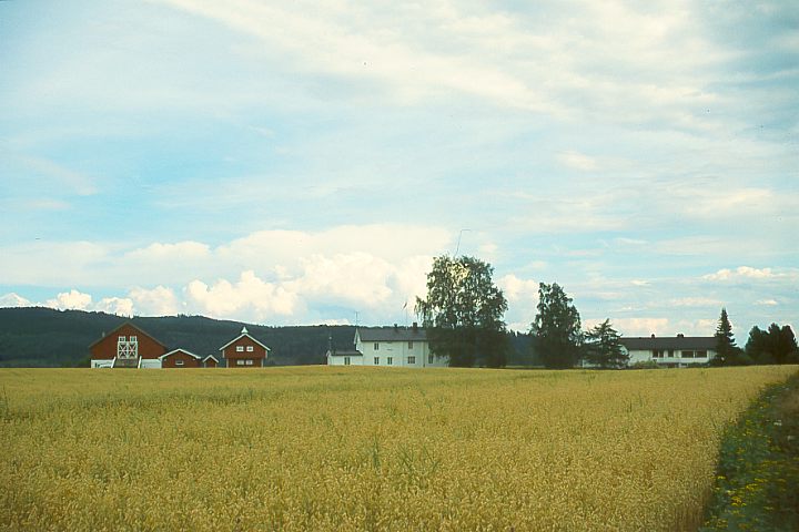 Hedmark13 - 57KB