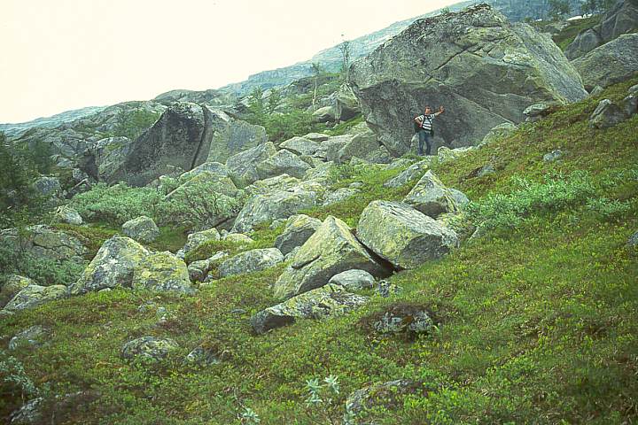 NordlandGraneBoergefjell15 - 92KB