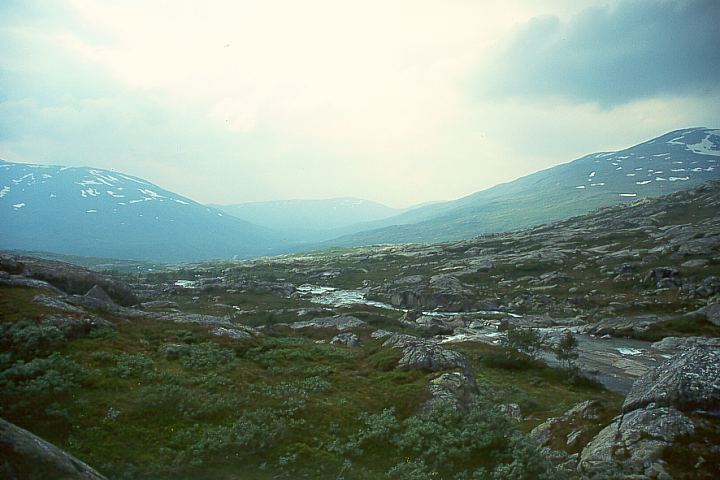 NordlandGraneBoergefjell19 - 56KB