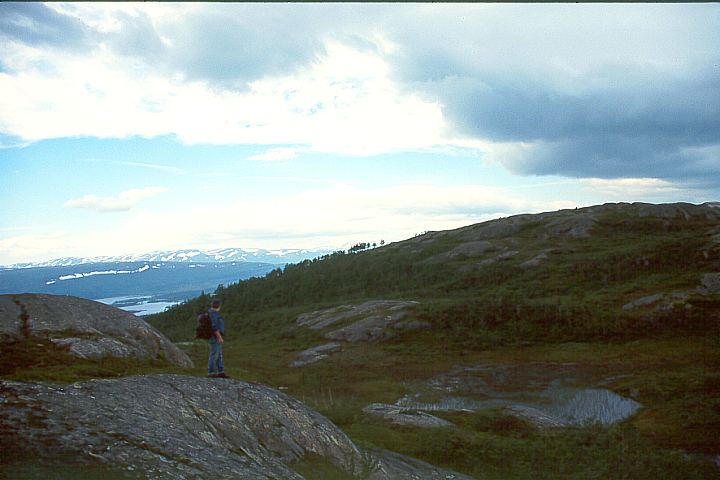 NordlandGraneLitlfjell16 - 49KB